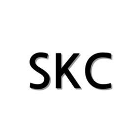 Kaizen360 - Ecommerce Partner Chile Skincare Corea SKC